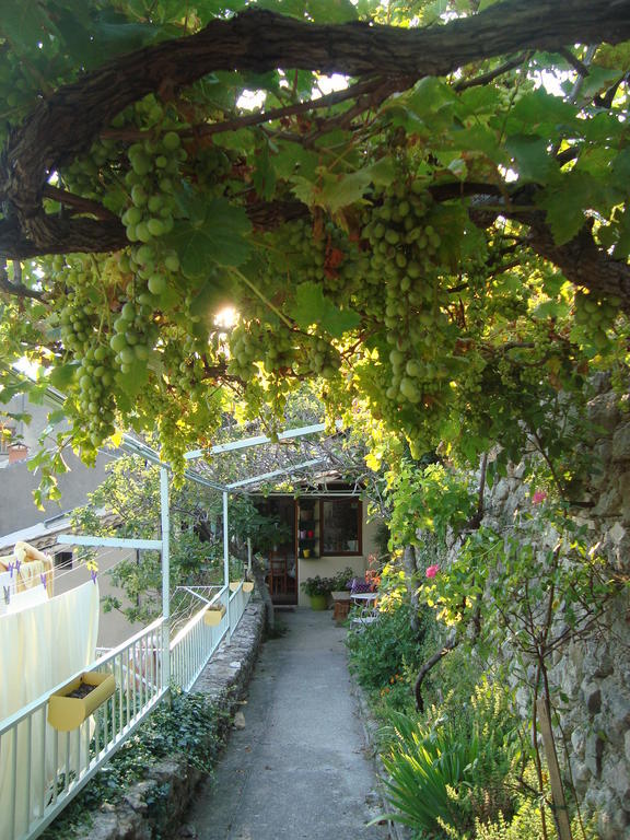 Gite Chambres D'Hotes Le Bellevue Montbrun-les-Bains Exterior foto